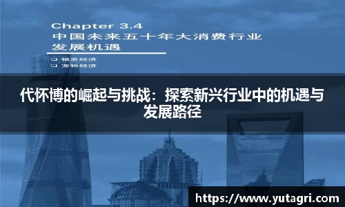 代怀博的崛起与挑战：探索新兴行业中的机遇与发展路径